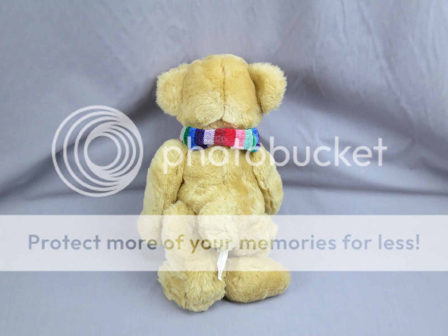 gay pride teddy bear